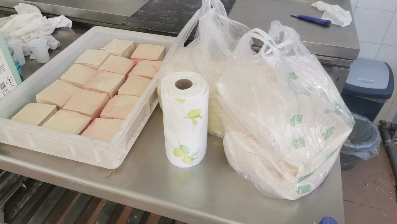 Gli agenti della polizia locale di Monza e i tecnici dell’Ats hanno trovato una situazione igienica precaria che li ha spinti a chiudere l’attività Gli agenti della polizia locale di Monza e i tecnici dell’Ats hanno trovato una situazione igienica precaria che li ha spinti a chiudere l’attività
