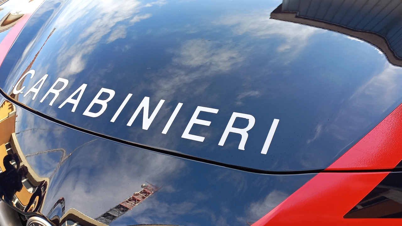 I carabinieri di Abbiategrasso hanno inseguito il 22enne I carabinieri di Abbiategrasso hanno inseguito il 22enne