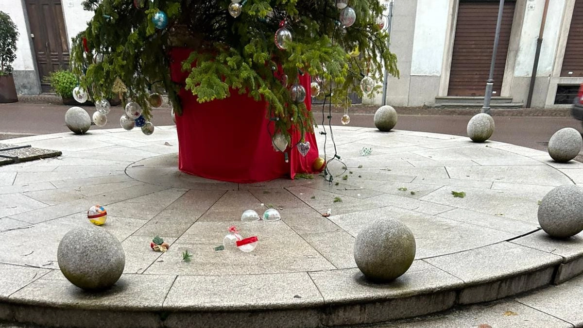 L'albero di Natale danneggiato