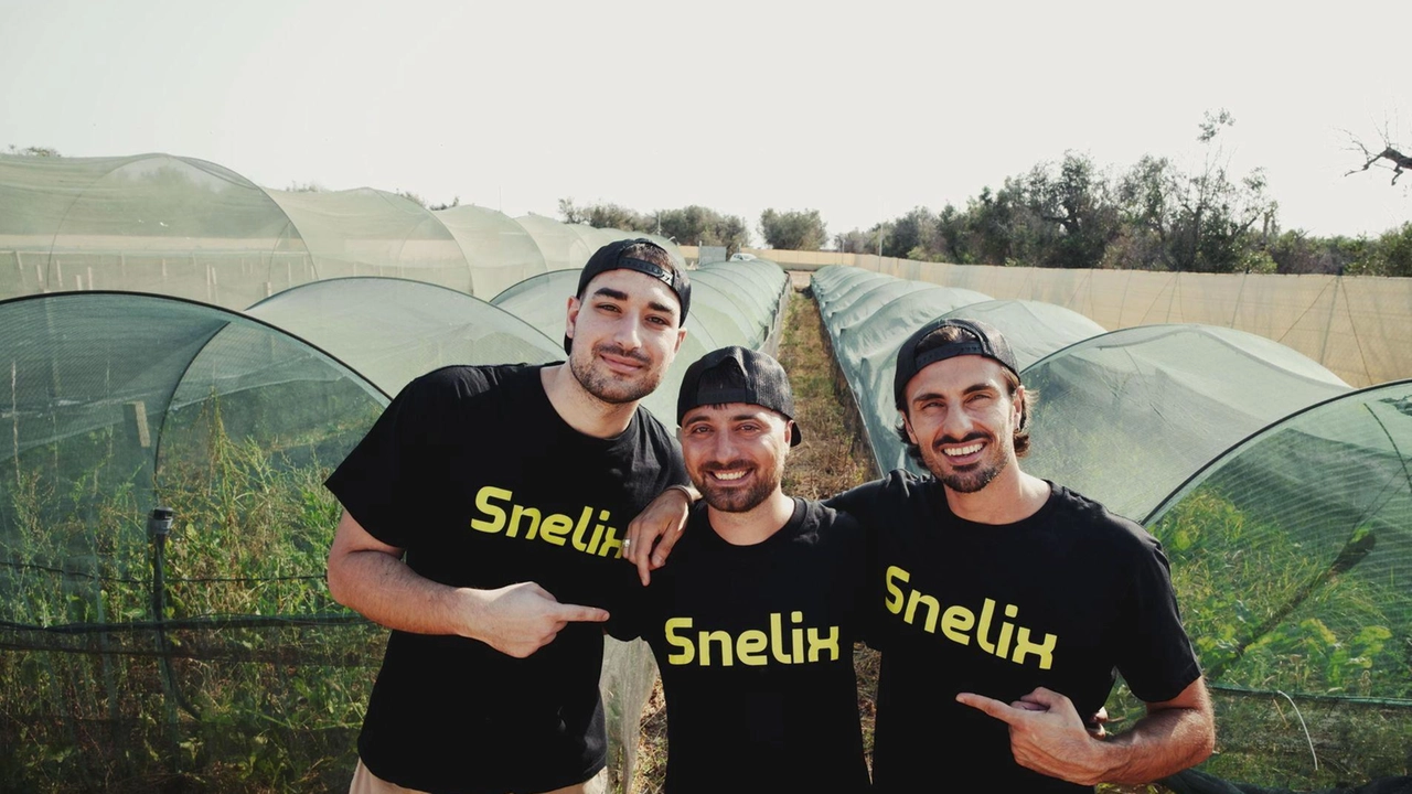 Da sinistra i tre fondatori di Snelix Andrea Catto Simone De Maria e Ubaldo De Santis Da sinistra i tre fondatori di Snelix Andrea Catto Simone De Maria e Ubaldo De Santis