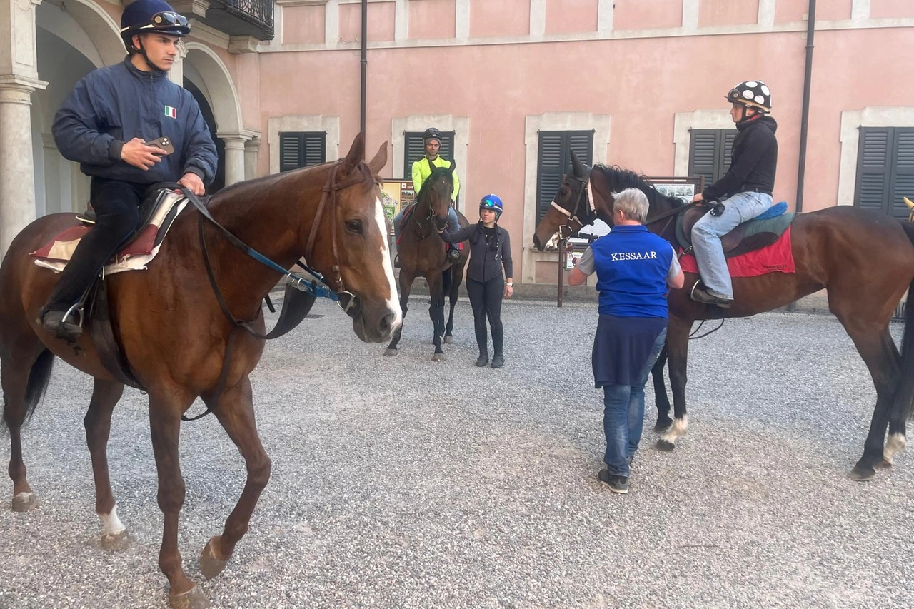 Il passaggio dei cavalli per le strade di Varese ha richiamato la curiosità della gente