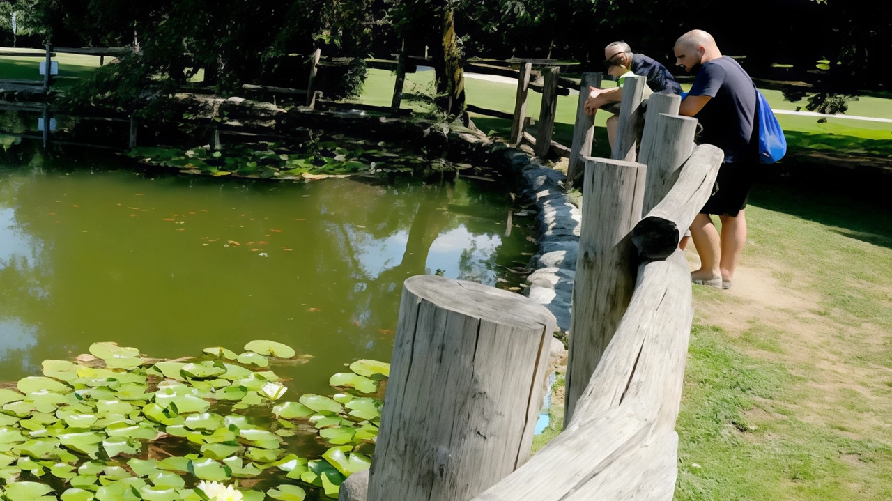 Un futuro più verde per la Brianza. Svelato il Parco Valle del Seveso