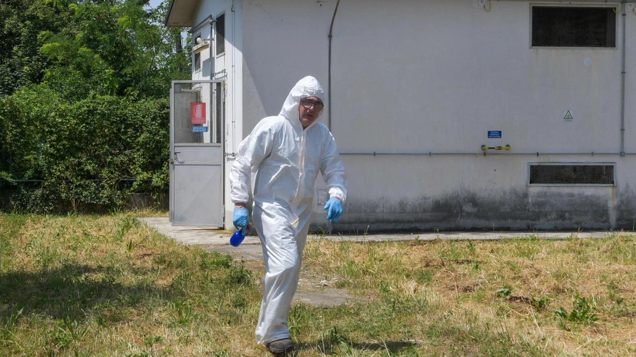 Odore di gas fra Martesana e Trezzese, la perdita. a Basiano in una cabina di via Alfieri Odore di gas fra Martesana e Trezzese, la perdita. a Basiano in una cabina di via Alfieri