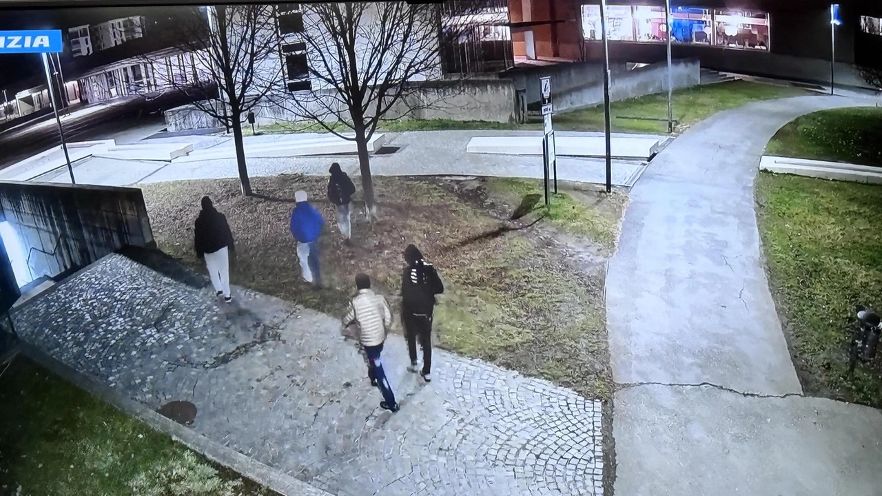 Dopo cinque mesi di indagini, identificati i cinque responsabili Dopo cinque mesi di indagini, identificati i cinque responsabili
