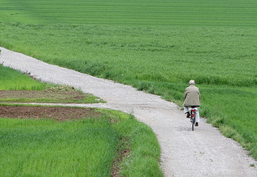 Tutta la bellezza di Besana in un sito. Il sogno greenway finisce in rete