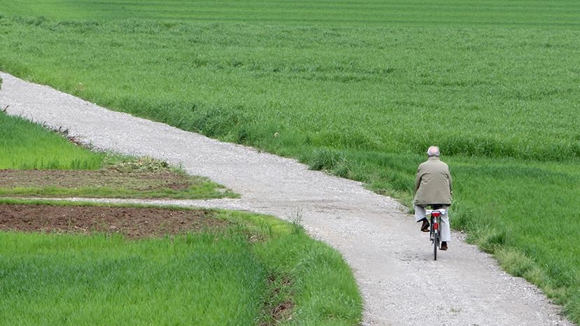 Territorio. verde a Besana in Brianza grazie al progetto Greenway
