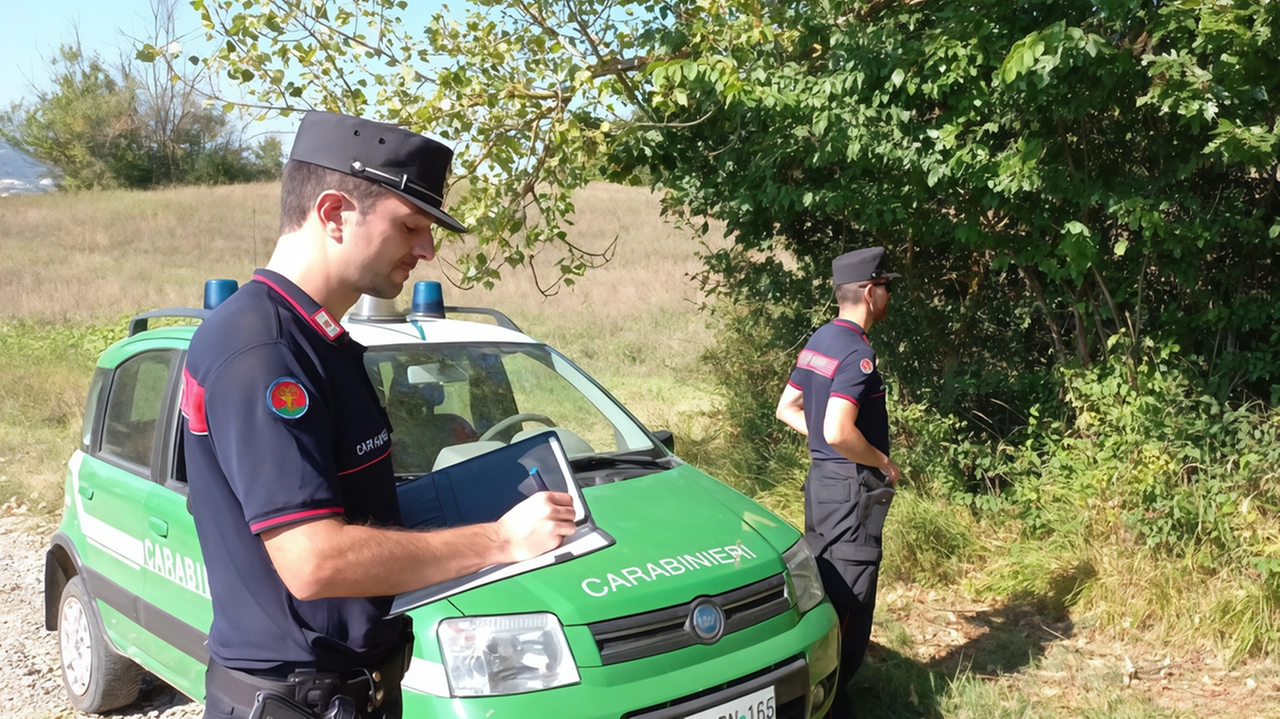 Nel bosco erano stati abbandonati circa tre metri cubi di rifiuti, dal divano letto a vecchie padelle, materiale che, invece...