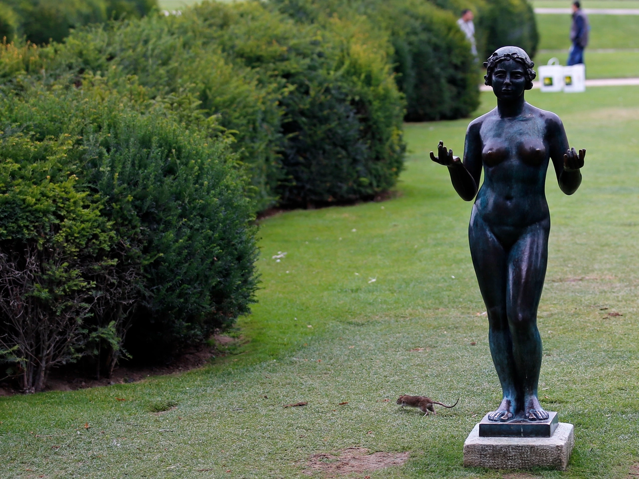 Un topo nel Giardino delle Tuileries (AP)