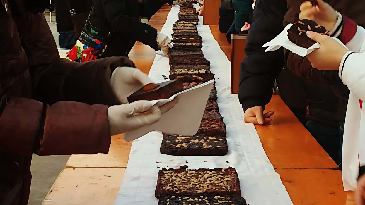L’appuntamento col primo assaggio è domenica al centro socio ricreativo anziani L’appuntamento col primo assaggio è domenica al centro socio ricreativo anziani