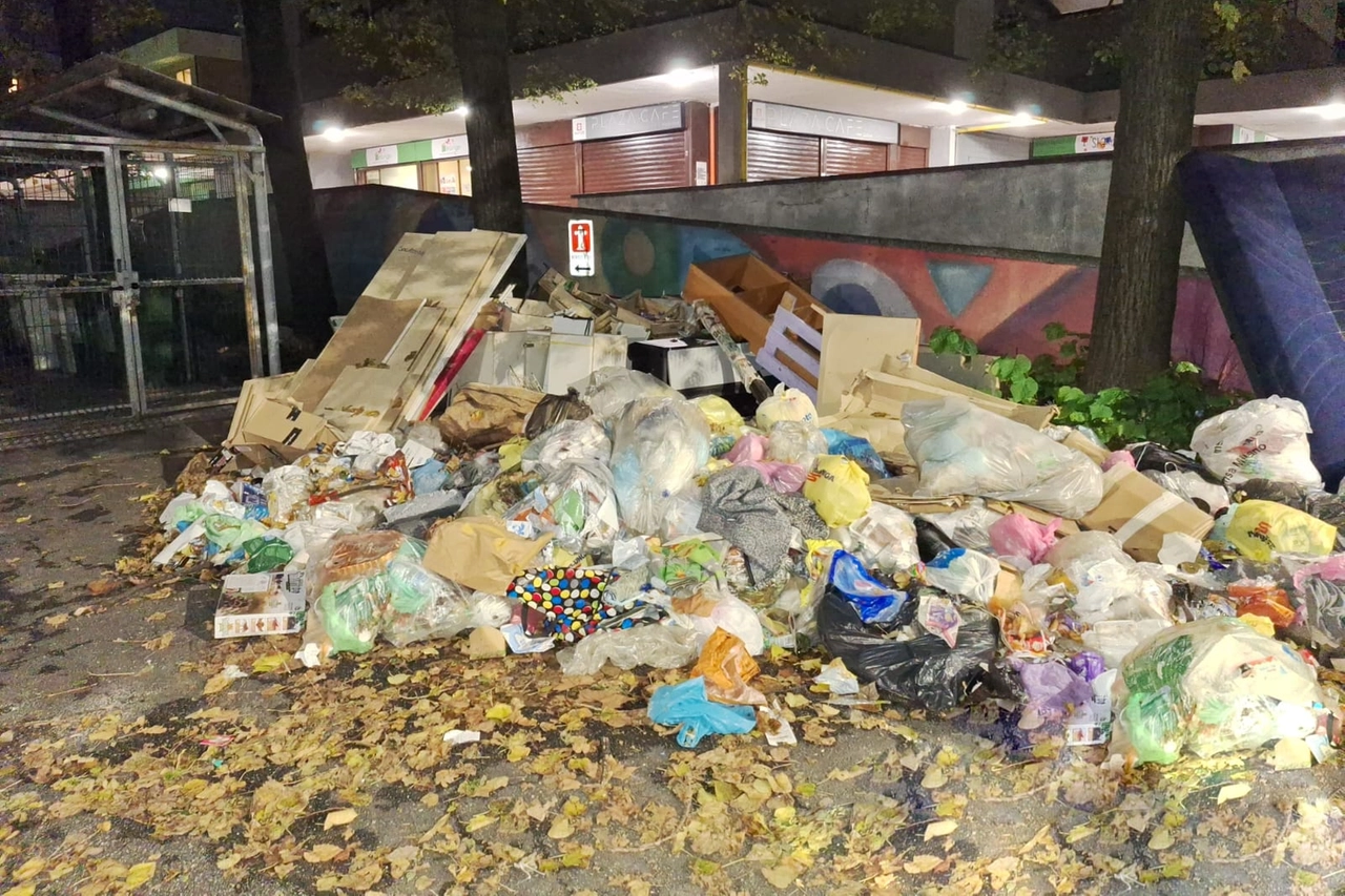 Una "montagnola" di rifiuti in attesa (da settimane) di essere raccolti dall'Amsa