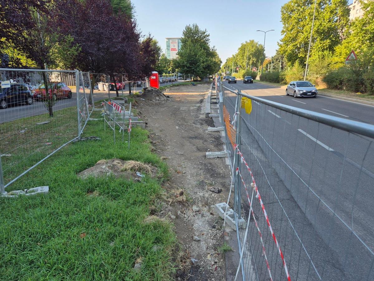 Meno asfalto e parcheggi, più alberi: scoppia la polemica sul cantiere in viale Fulvio Testi a Milano Meno asfalto e parcheggi, più alberi: scoppia la polemica sul cantiere in viale Fulvio Testi a Milano
