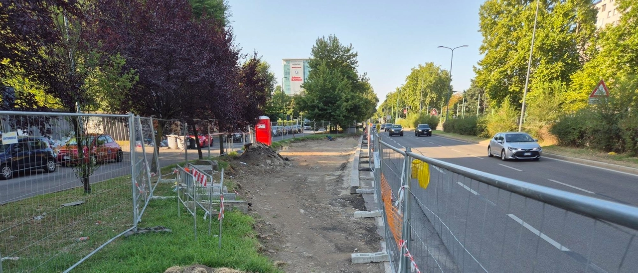 Meno asfalto e parcheggi, più alberi: scoppia la polemica sul cantiere in viale Fulvio Testi a Milano