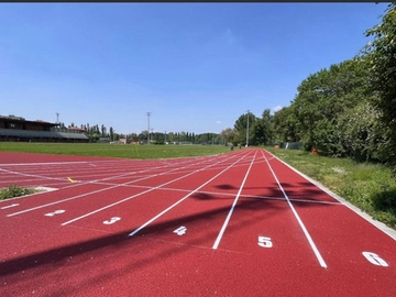 immagine articolo