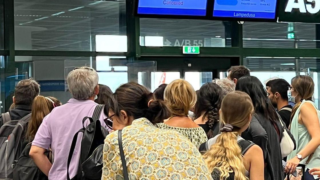 Malpensa derubano da Ilgiorno.it malpensa derubano passeggera e fuggono in taxi con 60mila euro di refurtiva bloccati e arrestati in autostrada