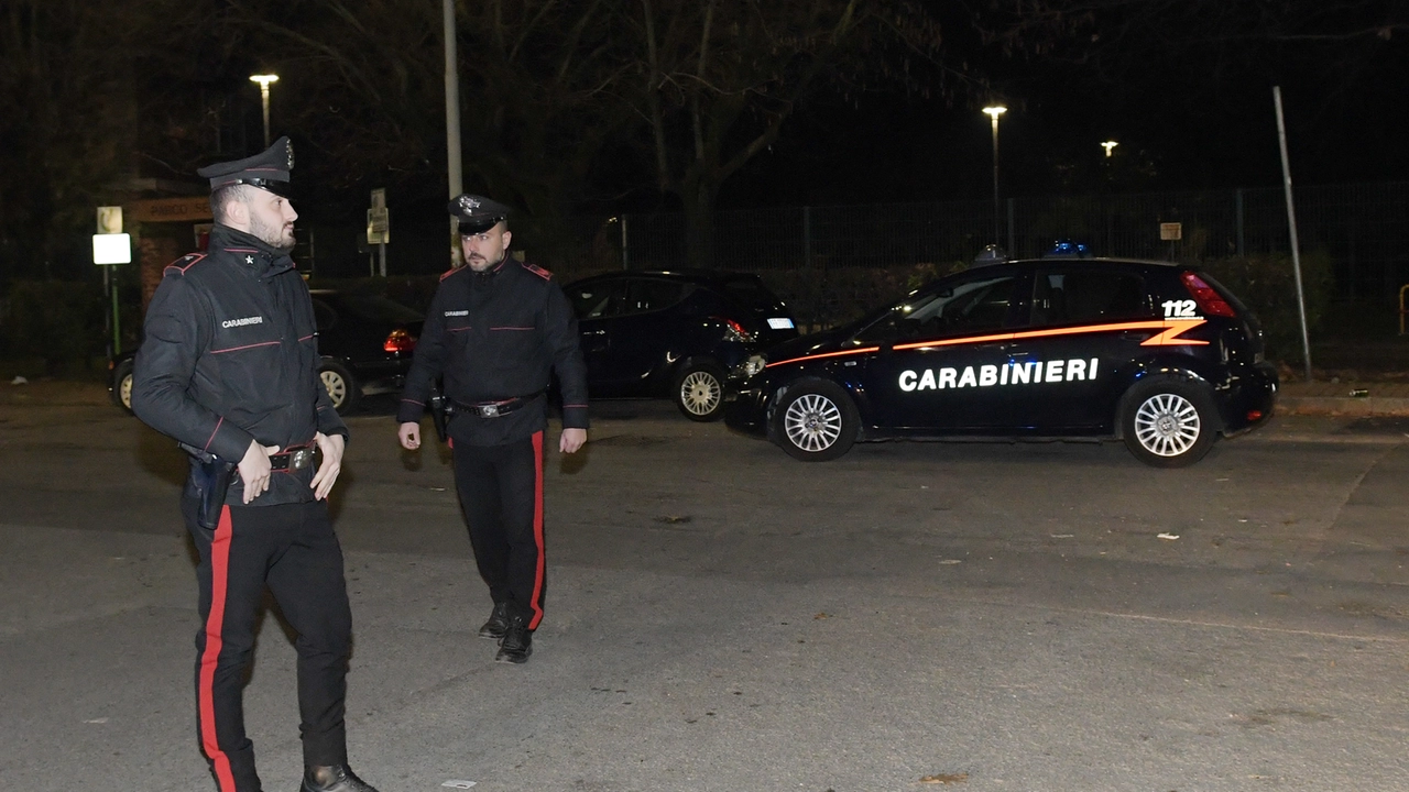 Solo l'intervento dei carabinieri ha salvato la donna dalla violenza del figlio Solo l'intervento dei carabinieri ha salvato la donna dalla violenza del figlio
