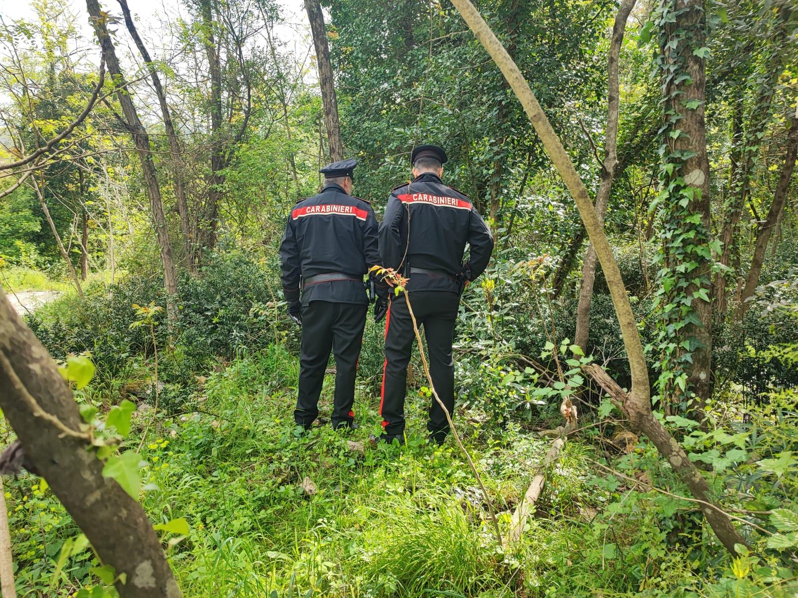Cologne, cadavere di un uomo trovato ai piedi Monte Orfano: morto da diversi giorni. Choc nel Bresciano Cologne, cadavere di un uomo trovato ai piedi Monte Orfano: morto da diversi giorni. Choc nel Bresciano