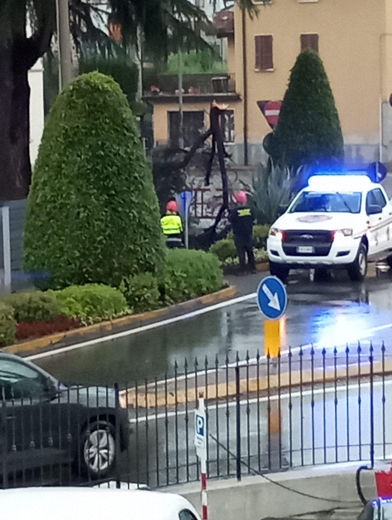 Violente grandinate in Valcamonica, un albero cade in strada a Capriolo: forte ondata di maltempo