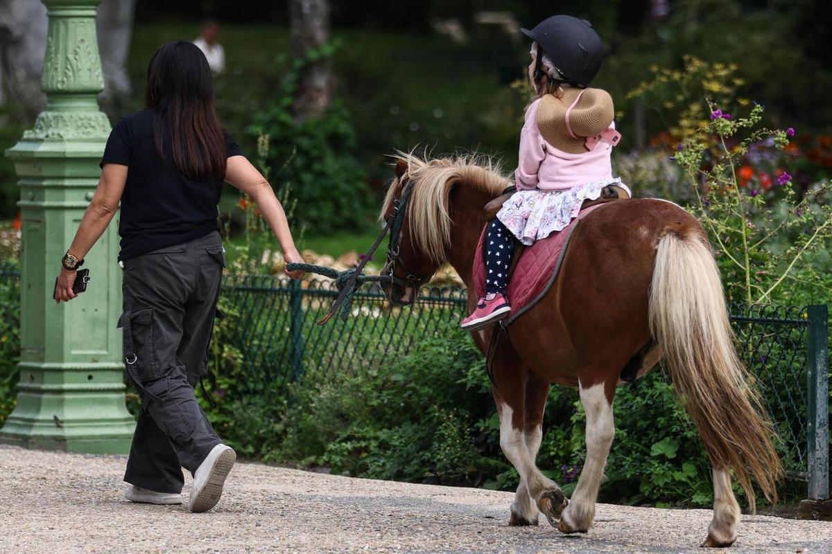 Abusi sessuali sulle allieve del maneggio: arrestato maestro di equitazione
