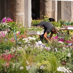 Milano, davanti alla Basilica di Sant’Ambrogio dal 4 al 6 aprile torna Flora et Decora