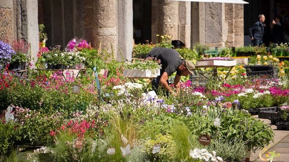 Milano, davanti alla Basilica di Sant’Ambrogio dal 4 al 6 aprile torna Flora et Decora