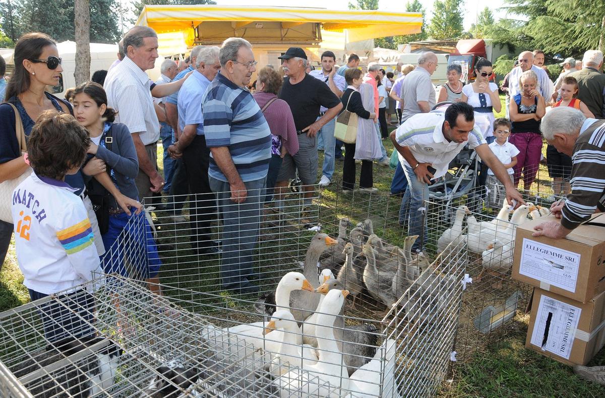 San Rocco. Alla fiera 140 espositori San Rocco. Alla fiera 140 espositori