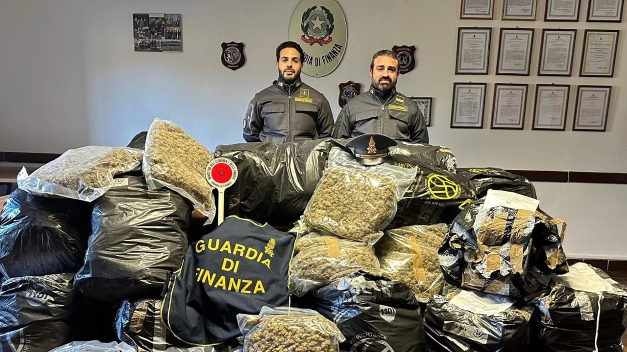 Un recente sequestro di droga da parte della Guardia di Finanza Nel 2024 sono stati recuperati 1.104 chili di marijuana Un recente sequestro di droga da parte della Guardia di Finanza Nel 2024 sono stati recuperati 1.104 chili di marijuana