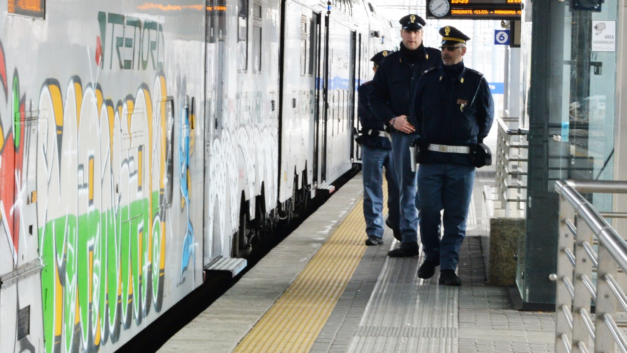 Il branco è stato bloccato dalla polizia di Stato Il branco è stato bloccato dalla polizia di Stato