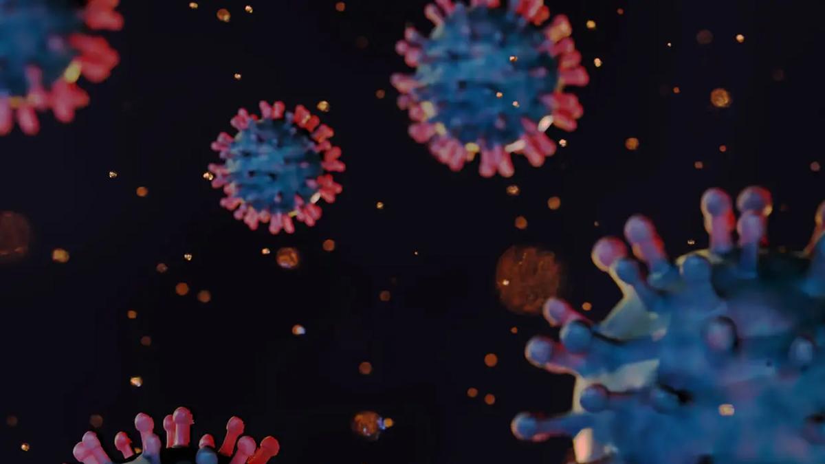 monza caso sospetto di chikungunya in via san fruttuoso scatta il piano disinfestazione