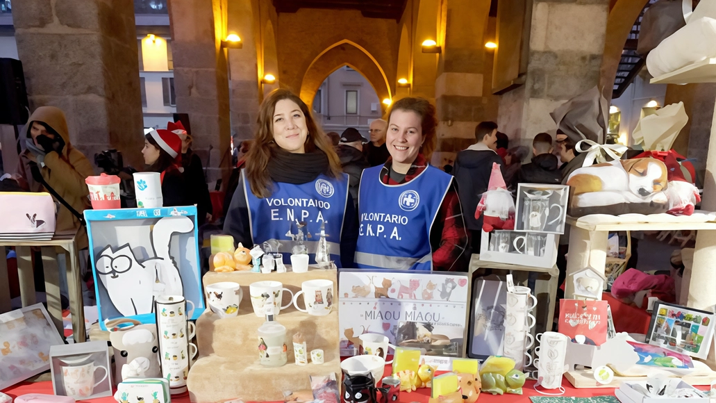 I volontari saranno tra via Italia e i portici dell’Arengario Da domani sarà allestito un banchetto anche al canile I volontari saranno tra via Italia e i portici dell’Arengario Da domani sarà allestito un banchetto anche al canile