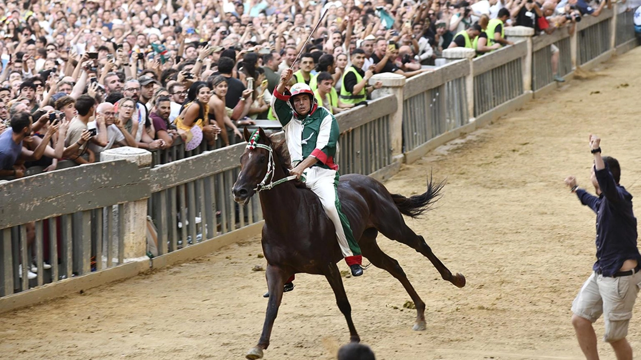 Col fantino Giovanni Atzeni sul cavallo Diodoro Col fantino Giovanni Atzeni sul cavallo Diodoro