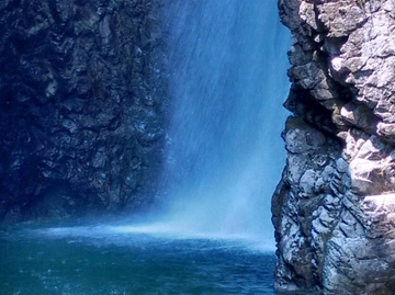 immagine articolo
