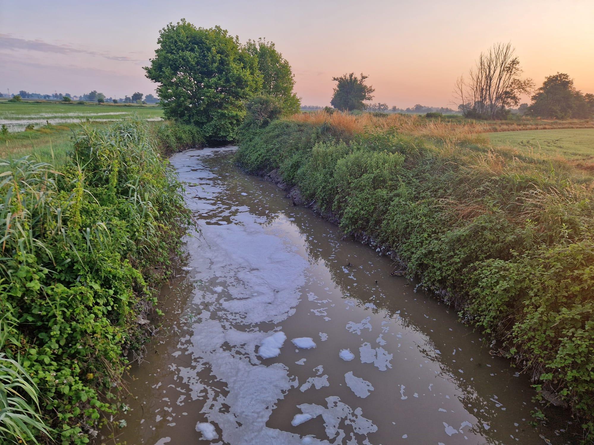 Una sostanza maleodorante e oleosa nel torrente Arbogna, l’ordinanza: "Niente acqua per irrigare i campi” Una sostanza maleodorante e oleosa nel torrente Arbogna, l’ordinanza: "Niente acqua per irrigare i campi”