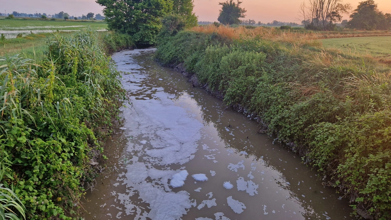 La mascchia oleosa nel torrente La mascchia oleosa nel torrente