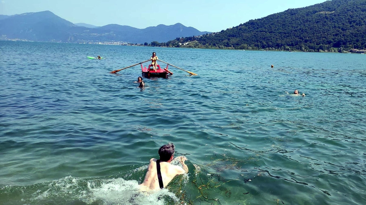 Un bagnino milanese di 21 anni ha rischiato la vita per salvare due turisti inglesi nel lago di Como a Bellano. Soccorso bellanese e Croce Rossa sono intervenuti prontamente. I tre sono stati trasferiti in ospedale. La prudenza è fondamentale in un bacino profondo come il Lario. Un bagnino milanese di 21 anni ha rischiato la vita per salvare due turisti inglesi nel lago di Como a Bellano. Soccorso bellanese e Croce Rossa sono intervenuti prontamente. I tre sono stati trasferiti in ospedale. La prudenza è fondamentale in un bacino profondo come il Lario.