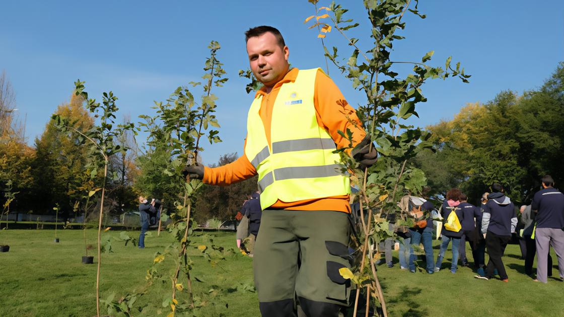 Nuove piante al Bosco delle Querce