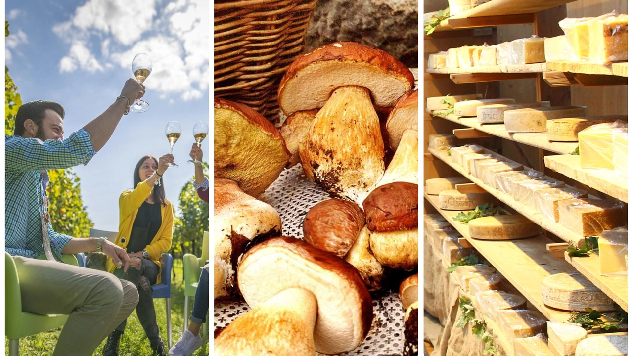 Sagre e feste in Lombardia: 10 eventi nel weekend del 19, 20 e 21 settembre 2025