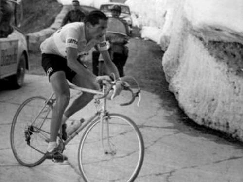 Fausto Coppi sullo Stelvio nel 1953, dal libro "Strada verso il cielo"