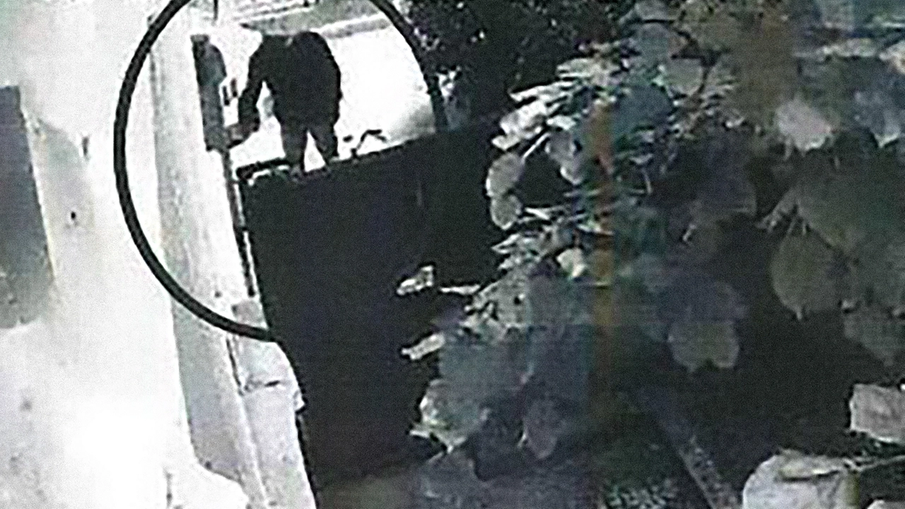 Il blitz di Bandeh nelle immagini riprese dalle telecamere della villetta. La ricostruzione piena di lacune: "Mi ricordo la pianta a terra, non lui"