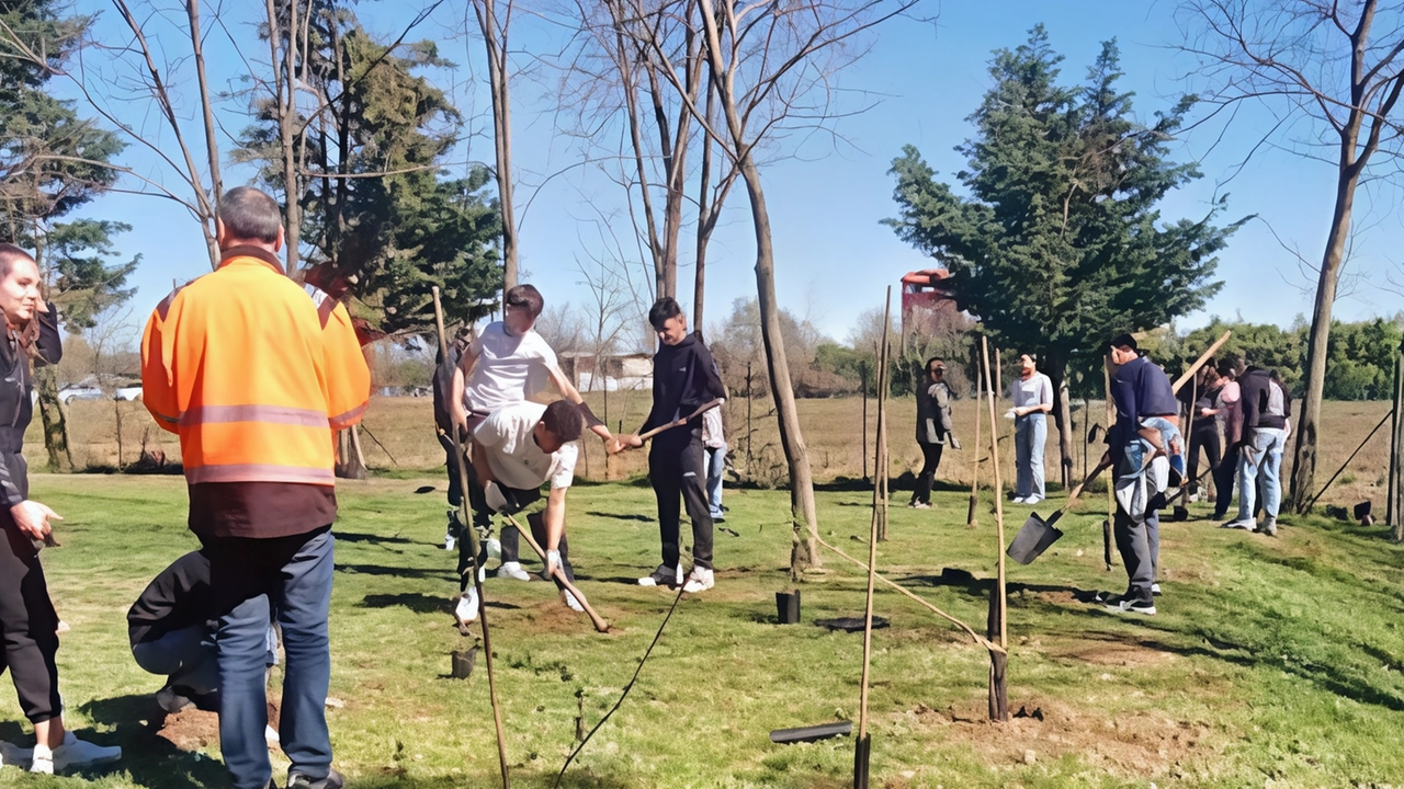Diversi progetti porteranno alla riqualificazione o creazione di nuove aree verdi tra cui piazza Visconti, il parco che si trova in via Tevere e quello di via Magenta Diversi progetti porteranno alla riqualificazione o creazione di nuove aree verdi tra cui piazza Visconti, il parco che si trova in via Tevere e quello di via Magenta