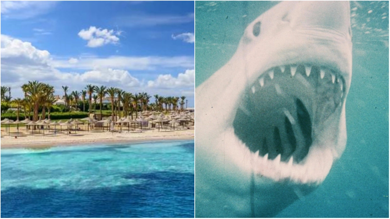 La località di Marsa Alam dove è avvenuto l'attacco dello squalo La località di Marsa Alam dove è avvenuto l'attacco dello squalo