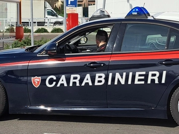 immagine articolo