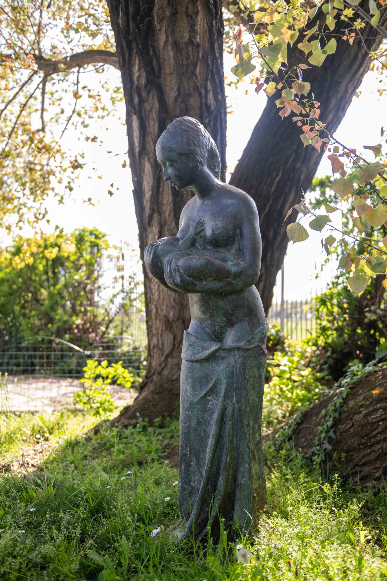 immagine di sfondo 6