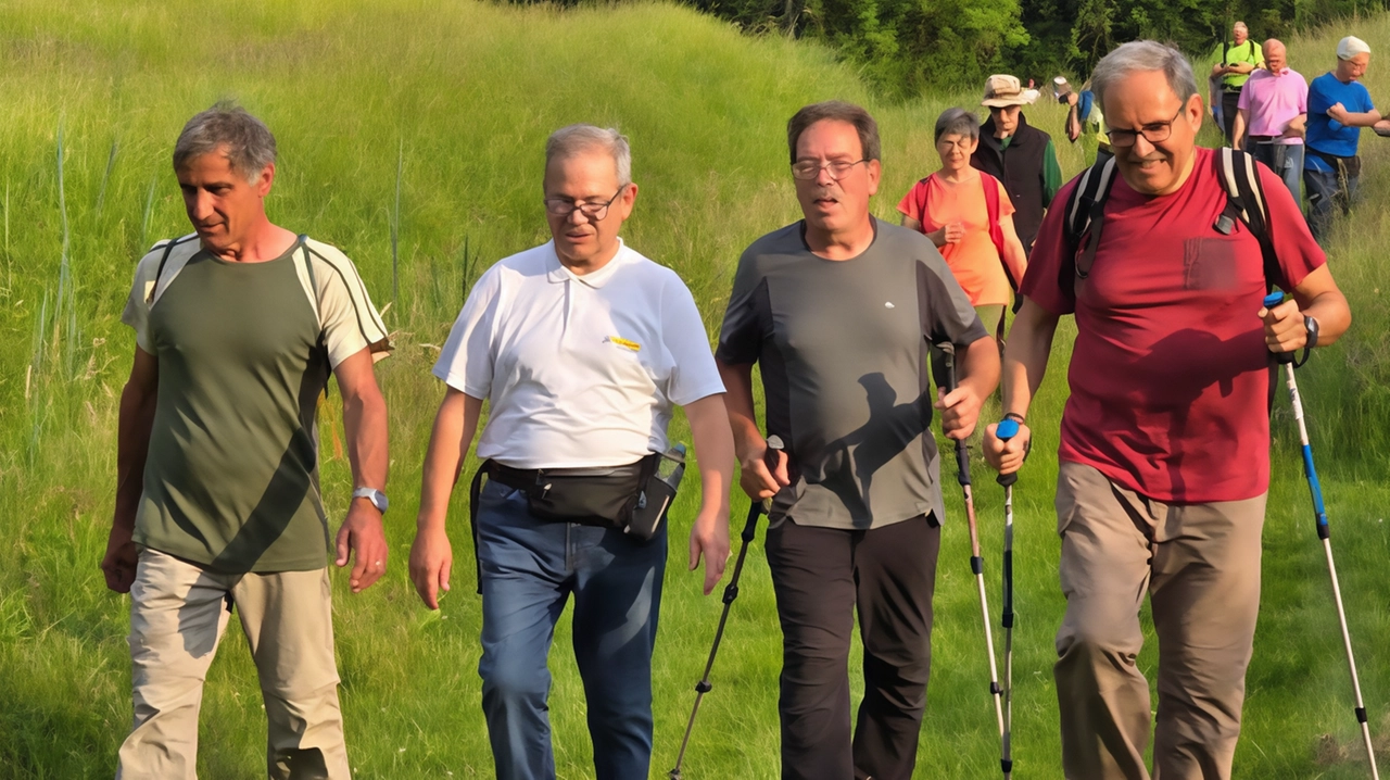 Primo soccorso in montagna: regole fondamentali e consigli utili dal sito del Cai legnanese per affrontare incidenti e situazioni di emergenza. Consigli anche sull'alimentazione per una preparazione ottimale. Primo soccorso in montagna: regole fondamentali e consigli utili dal sito del Cai legnanese per affrontare incidenti e situazioni di emergenza. Consigli anche sull'alimentazione per una preparazione ottimale.