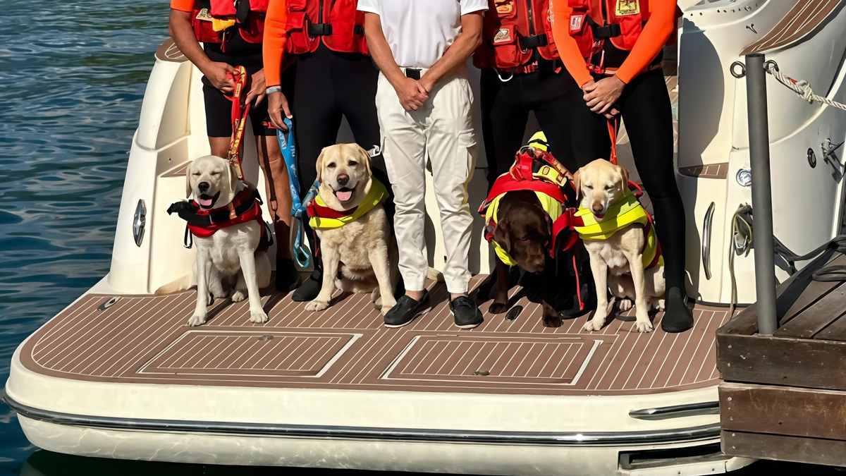 I cani da salvamento con i loro istruttori che operano sul lago Ceresio Le motovedette perlustrano il territorio intervenendo in caso di emergenza I cani da salvamento con i loro istruttori che operano sul lago Ceresio Le motovedette perlustrano il territorio intervenendo in caso di emergenza