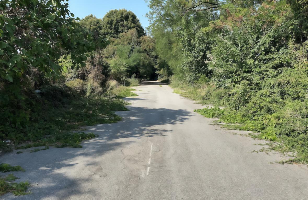 La strada nel degrado: "Grave negligenza" La strada nel degrado: "Grave negligenza"