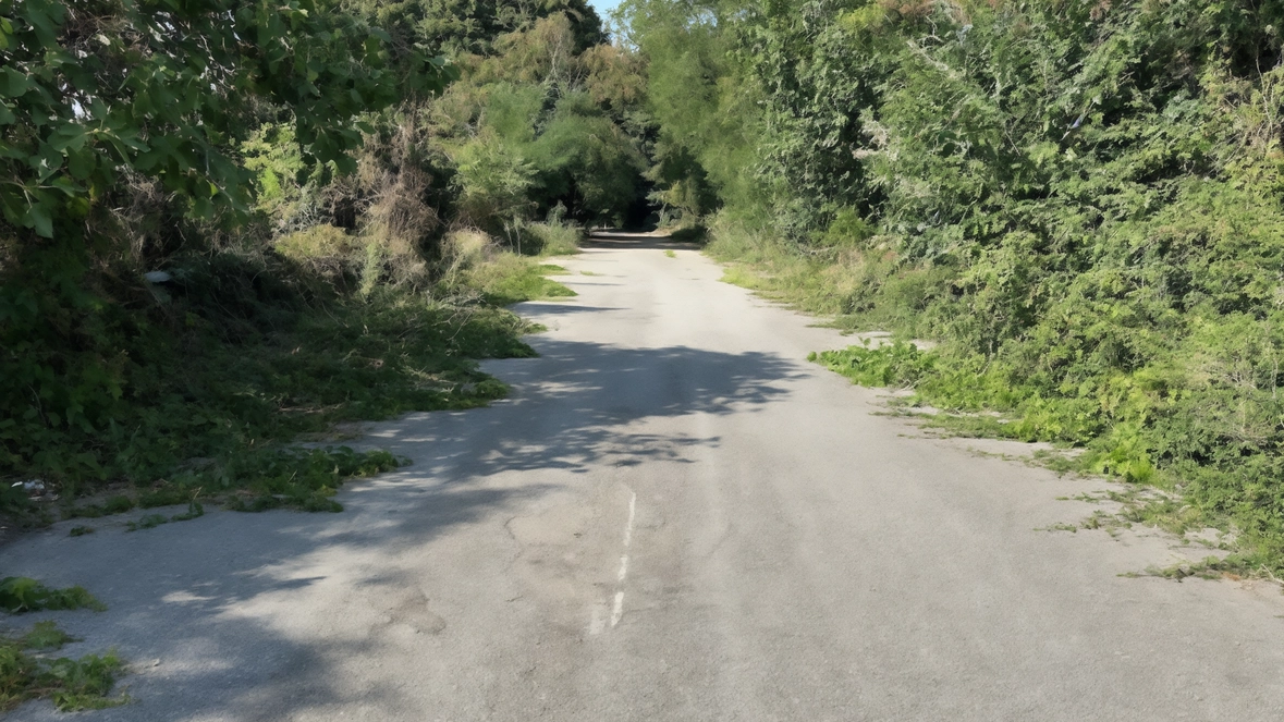 La strada è chiusa al traffico ma viene utilizzata dagli automobilisti creando rischi per pedoni e ciclisti soprattutto nelle giornate di pioggia
