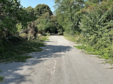 immagine articolo