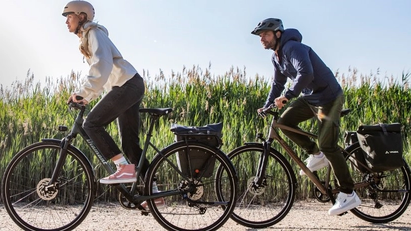 Bici a pedalata assistita Bici a pedalata assistita