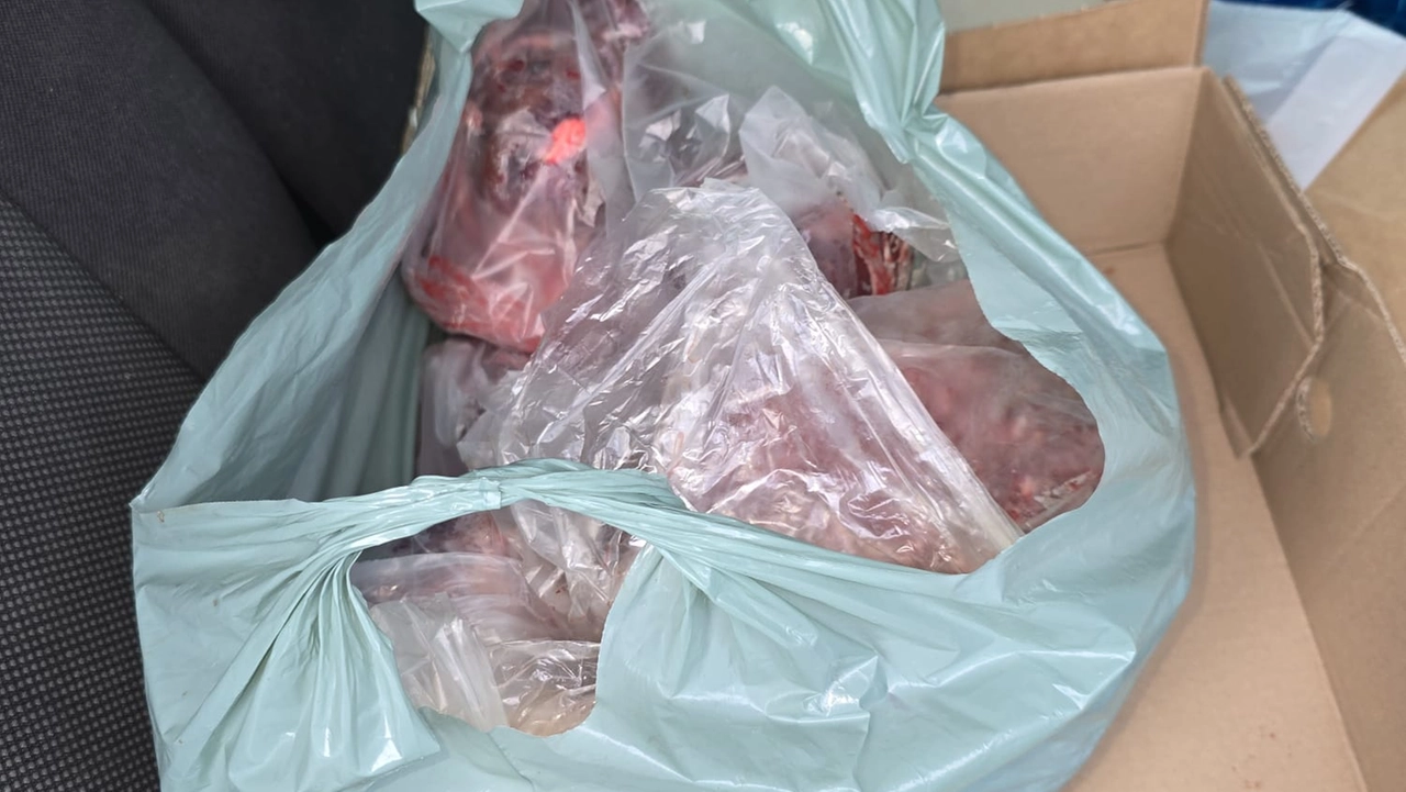 La carne trovata nell'auto La carne trovata nell'auto