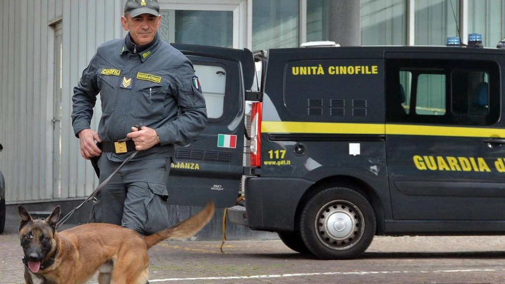 La Guardia di Finanza con unità cinofile in azione